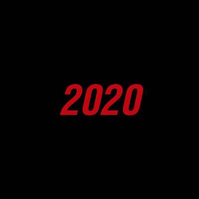 2020 EN IMÁGENES